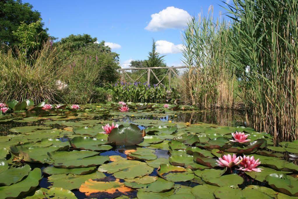 Auberge La Plaine Chabrillan Εξωτερικό φωτογραφία